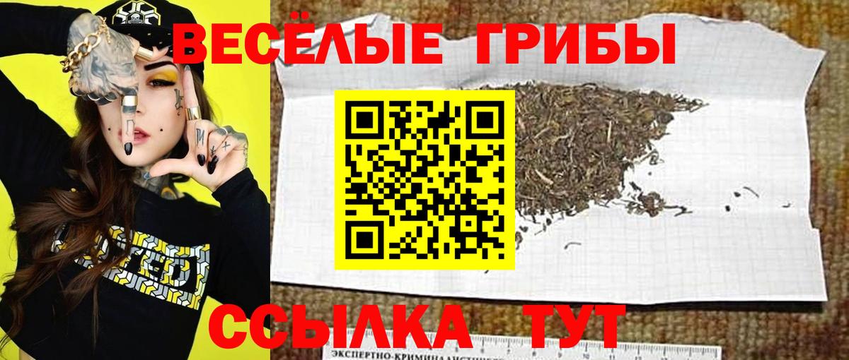 Севастополь  Галлюциногенные грибы ЛСД  Вход с VPN 