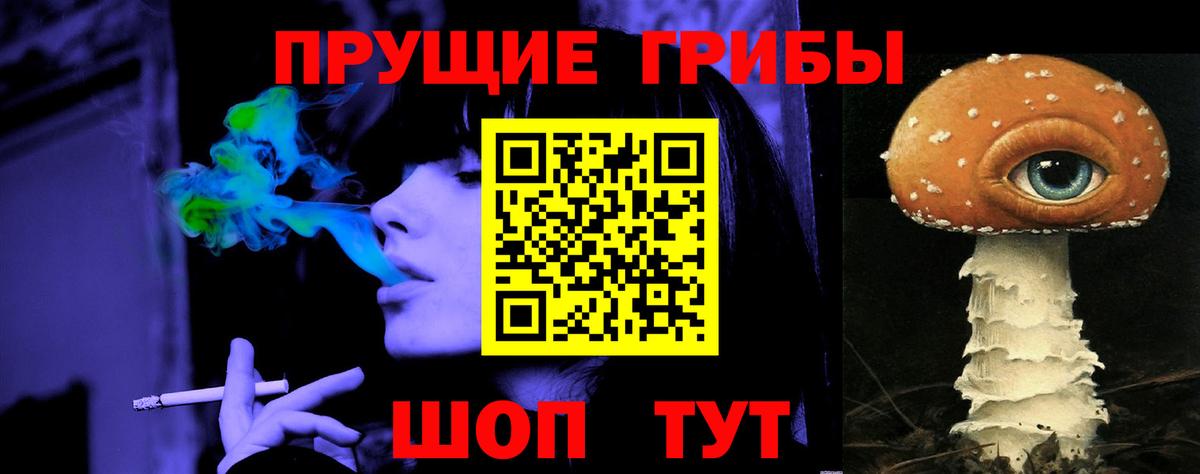 Псилоцибиновые грибы Cubensis Севастополь